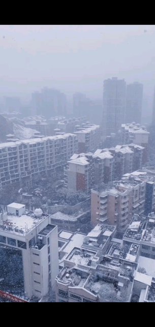 雪下的那么深，下的那