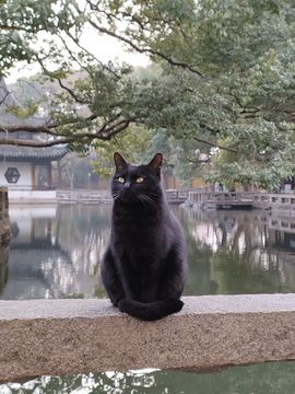 采薇🍥賣燒餅主播照片