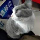 钱叙元海报