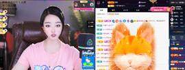 窦窦，家里有事休息了主播照片