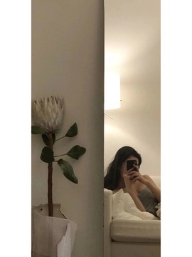 哆啦🍒的图片