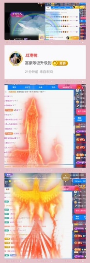 跑调嘉💟主播照片