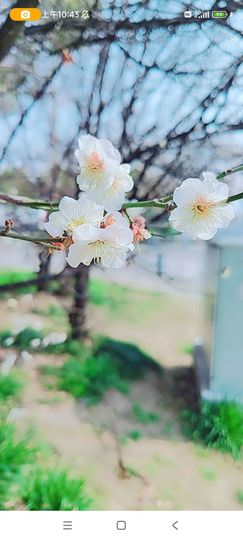 婷婷💕求升级的图片