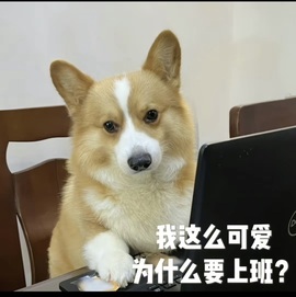 抱抱馨💌主播照片