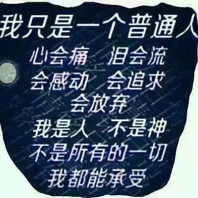 孤独《蔡》海报