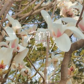 雪菜♫好运好运旺的图片