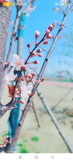 婷婷💕感恩有你陪伴的图片
