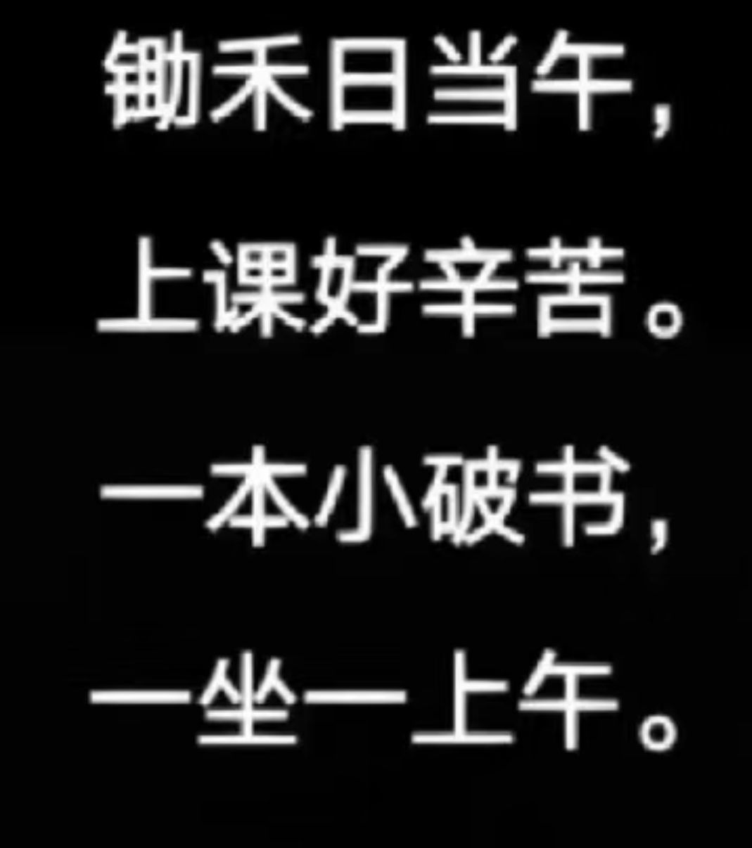 丑小鸭💞愿有一束光的图片