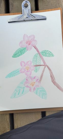 钟铃tina主播照片