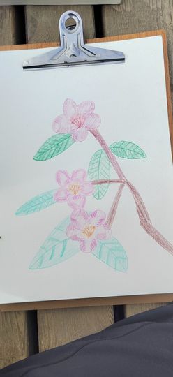 钟铃tina主播照片