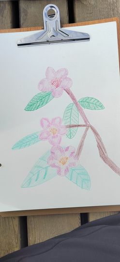 钟铃tina主播照片