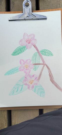 钟铃tina主播照片