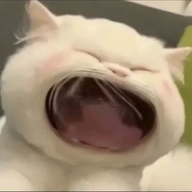 娜扎🧸主播照片
