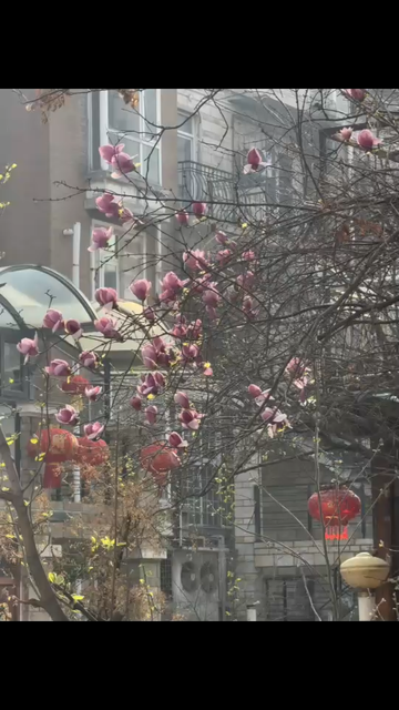 小宝儿 又是一年春天