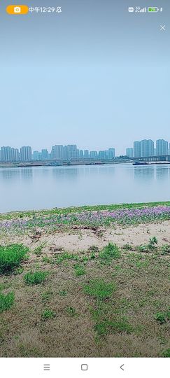 婷婷💕感恩有你陪伴的图片