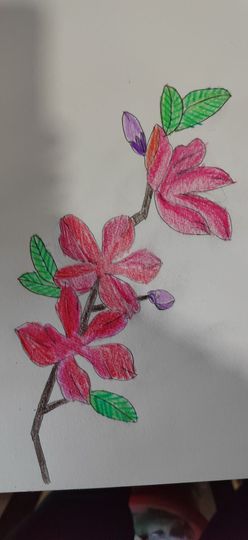 钟铃tina主播照片