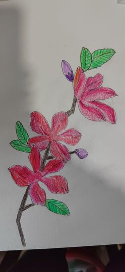 钟铃tina主播照片