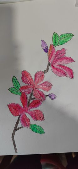 钟铃tina主播照片