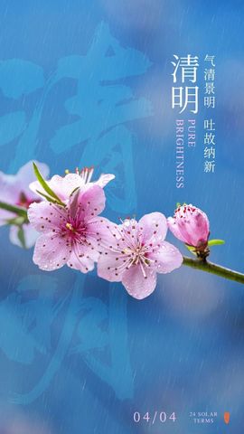 2025不好过主播照片