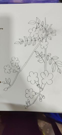 钟铃tina主播照片