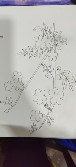 钟铃tina主播照片