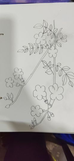 钟铃tina主播照片