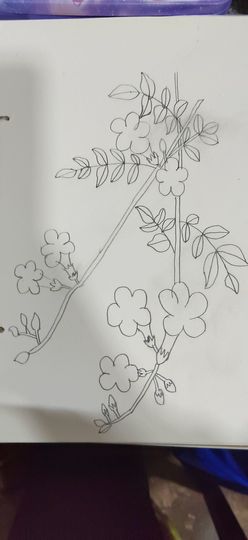 钟铃tina主播照片
