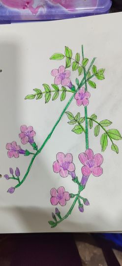 钟铃tina主播照片