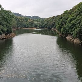 请叫我酱油～主播照片