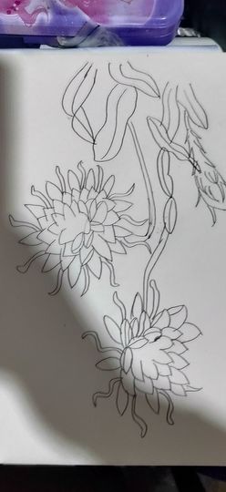 钟铃tina主播照片