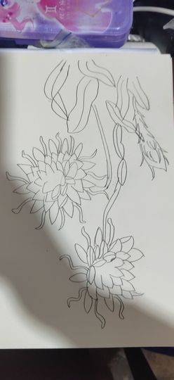 钟铃tina主播照片