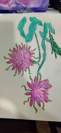 钟铃tina主播照片