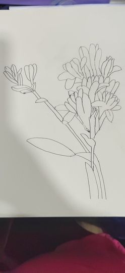 钟铃tina主播照片