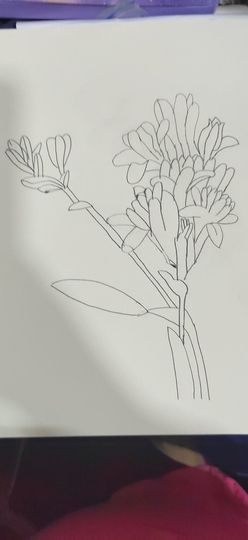 钟铃tina主播照片