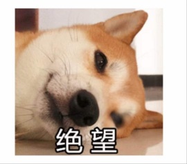 大拉馨💌差2个火山主播照片