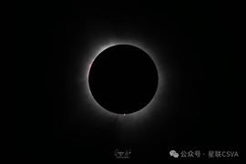 2025不好过主播照片