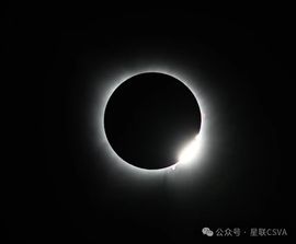 2025不好过主播照片