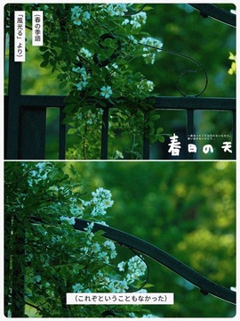 🍬。的图片