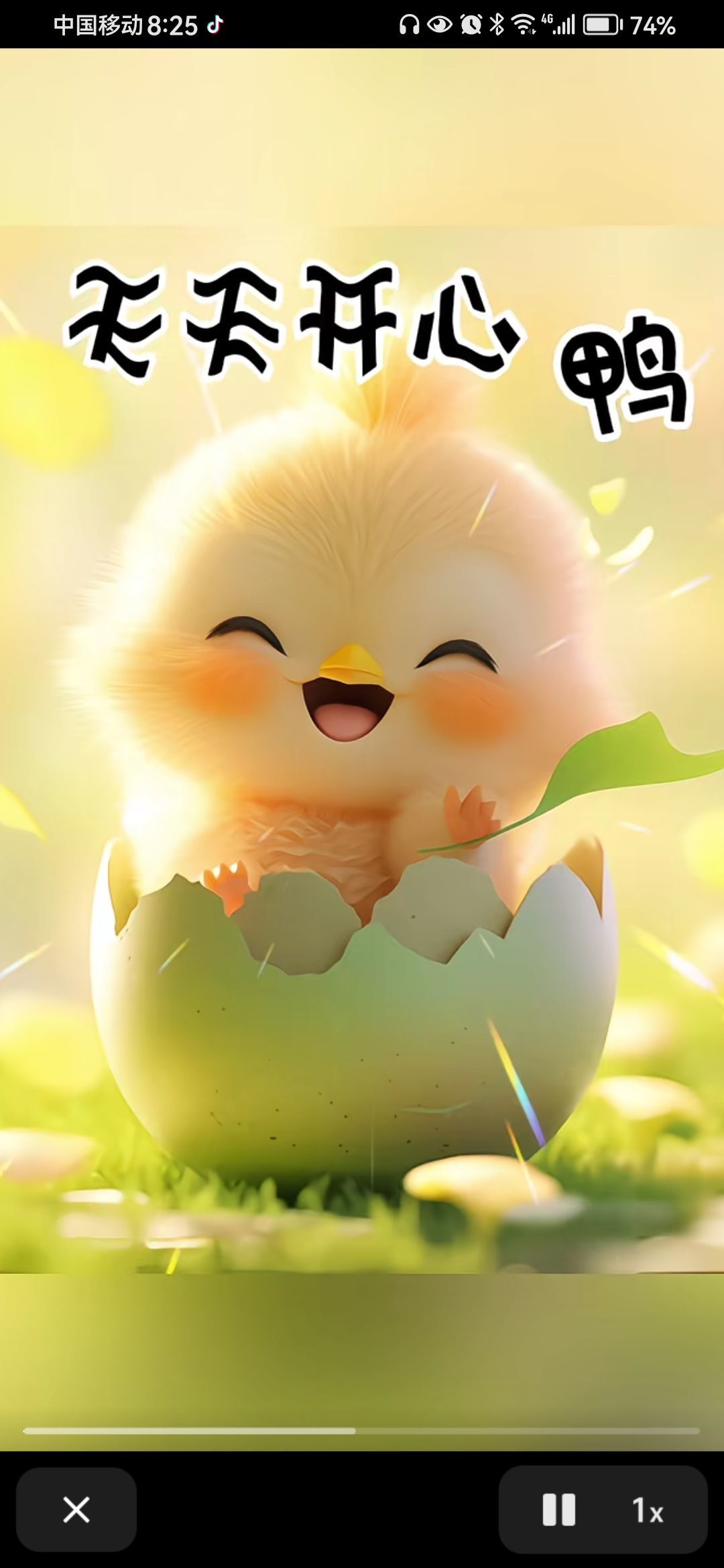 丑小鸭💞愿有一束光的图片