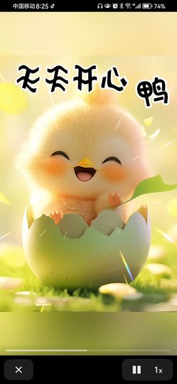 丑小鸭💞愿有一束光主播照片