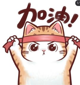 丑小鸭💞愿有一束光主播照片