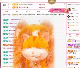 菲儿♥好运来🌈主播照片