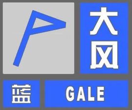 2025不好过主播照片