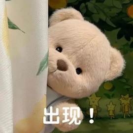 董贺我围观哥帝君啦的图片
