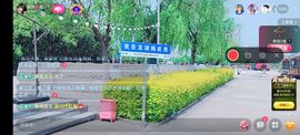婷婷💕感恩有你陪伴的图片