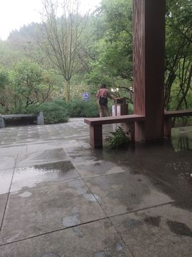 心痛的执着主播照片