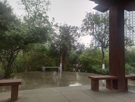 心痛的执着主播照片