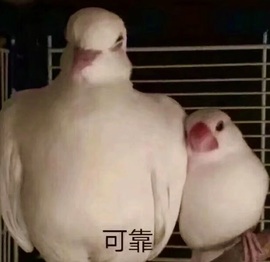 洋子～晚点见主播照片