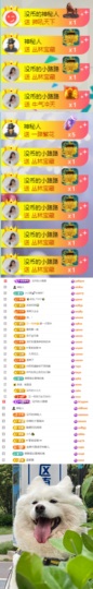 陈慧慧🥕早10晚8主播照片