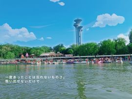 雪菜♫好运好运旺的图片